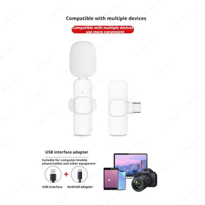 Wireless Lavalier Portable Microphone for iPhone Android PC Camera Live Gaming Phone